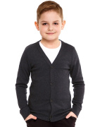 Джемпер для мальчика серый Апрель ПДДД 324023м